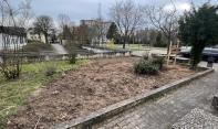 Bienenwiese karger Start