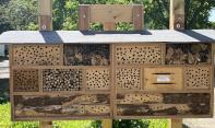 Insektenhotel bewohnt