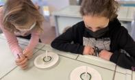 Biologie am AvH