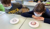 Biologie am AvH