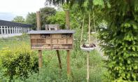 Upcycling-Projekt: Vogel- und Insektentränken