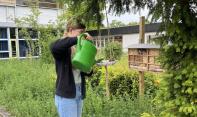 Upcycling-Projekt: Vogel- und Insektentränken