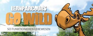 /qr-code-links-zu-go-wild